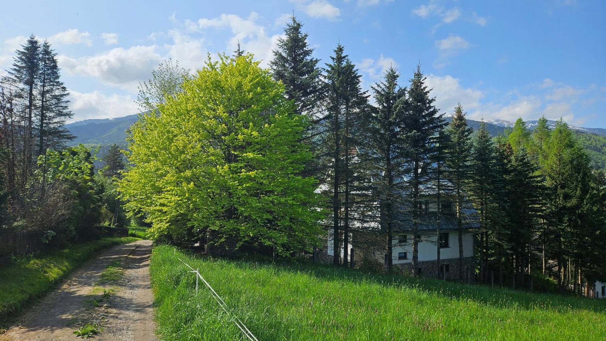 Kalinowka Koscielisko公寓 外观 照片